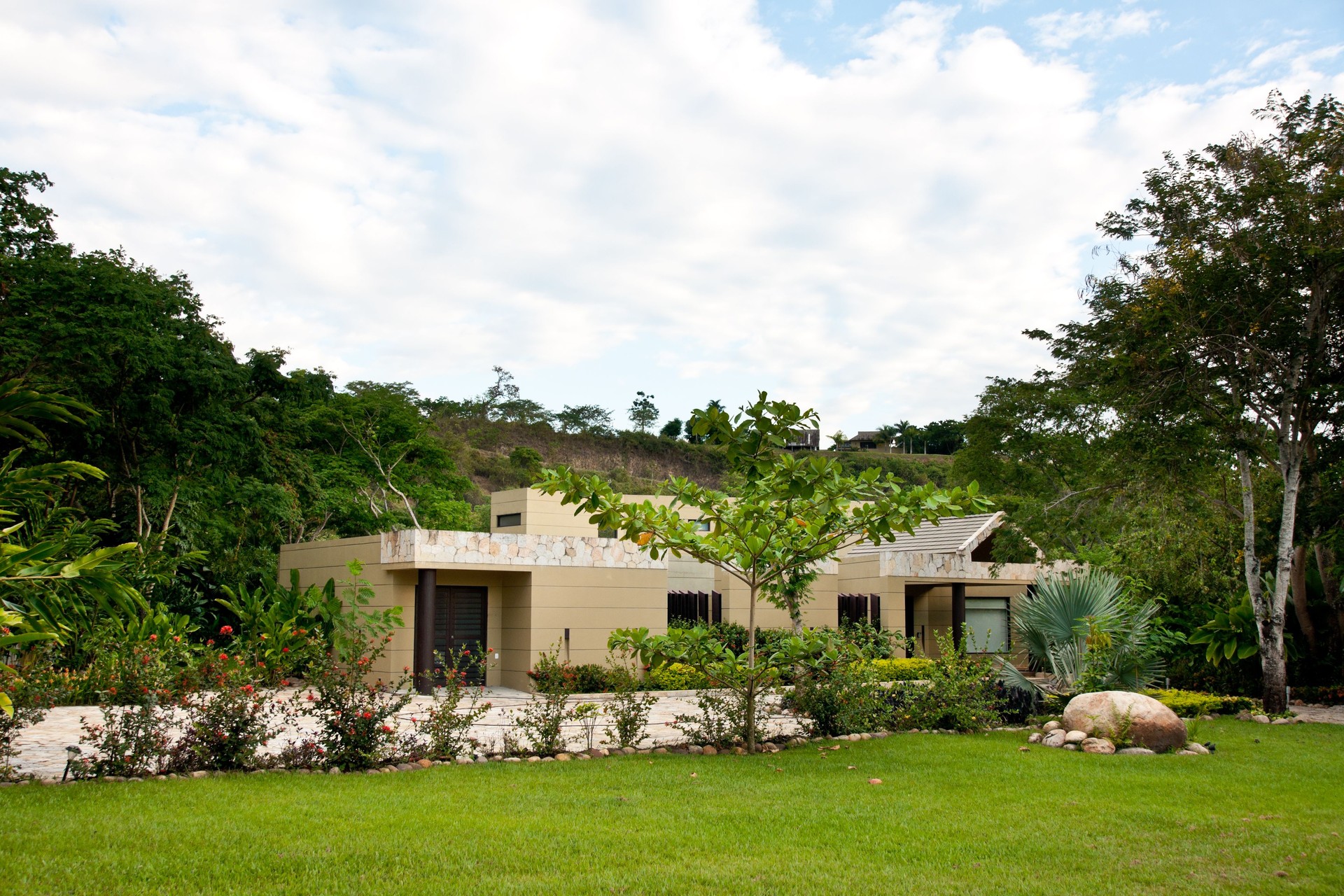 modern house surrounded by lush vegetation